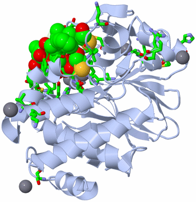 Image Asym./Biol. Unit - sites