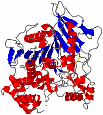 Image Asym./Biol. Unit