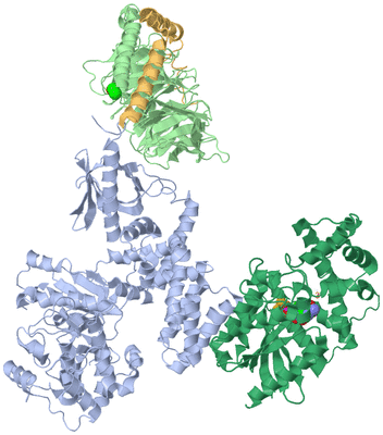 Image Asym./Biol. Unit