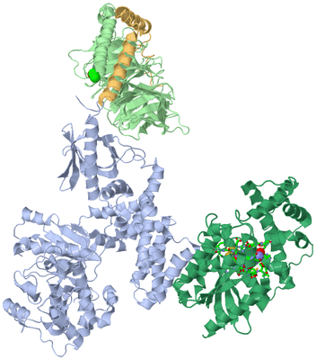 Image Asym./Biol. Unit - sites