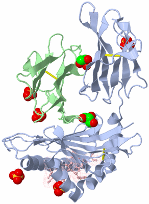 Image Biological Unit 1