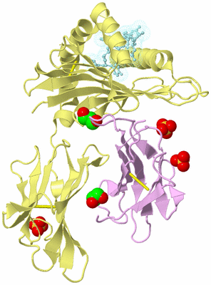 Image Biological Unit 2