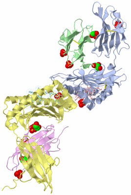 Image Biological Unit 3