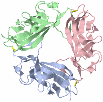 Image Asym./Biol. Unit