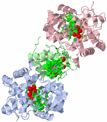 Image Asym./Biol. Unit - sites