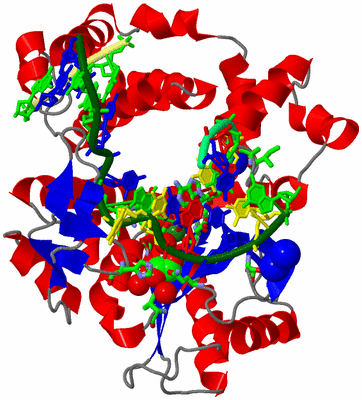 Image Asym./Biol. Unit - sites