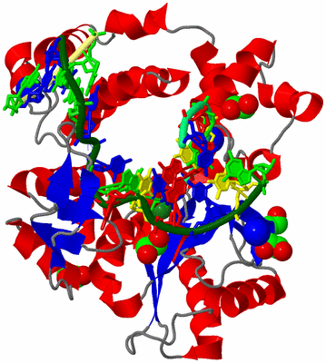 Image Asym./Biol. Unit