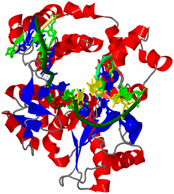 Image Asym./Biol. Unit