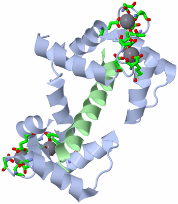 Image Asym./Biol. Unit - sites