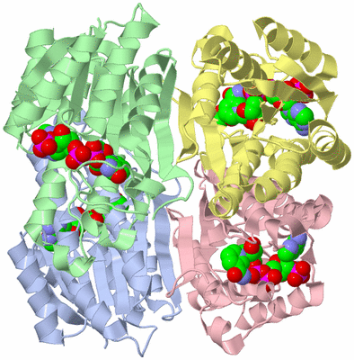 Image Asym./Biol. Unit