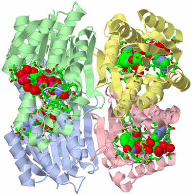 Image Asym./Biol. Unit - sites