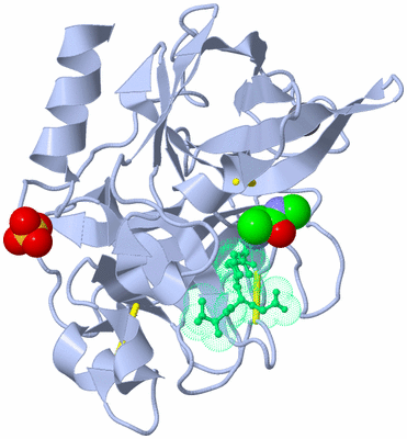 Image Asym./Biol. Unit