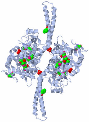 Image Biological Unit 2