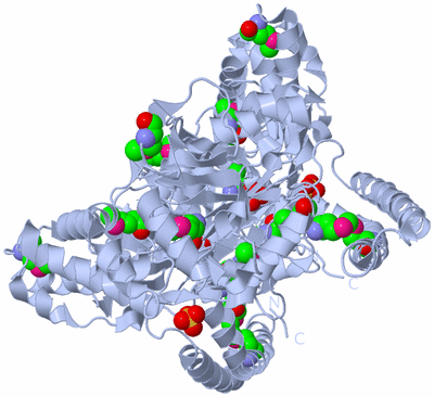 Image Biological Unit 3