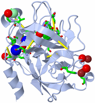 Image Biol. Unit 1 - sites