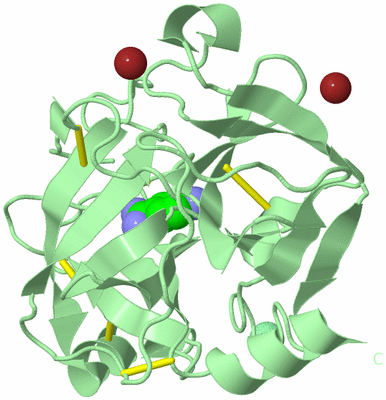 Image Biological Unit 2