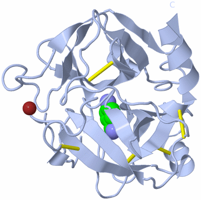 Image Biological Unit 1