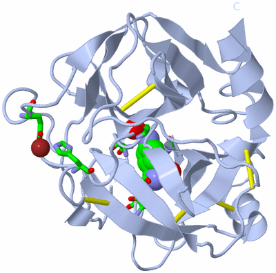 Image Biol. Unit 1 - sites