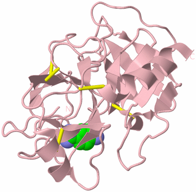 Image Biological Unit 3