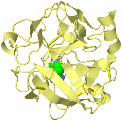 Image Biological Unit 4