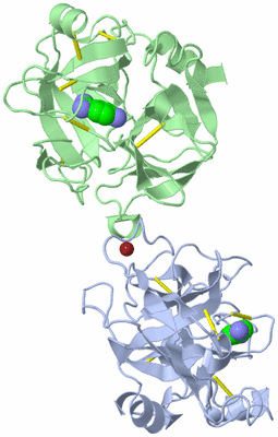 Image Biological Unit 5