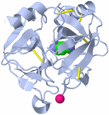 Image Biological Unit 1