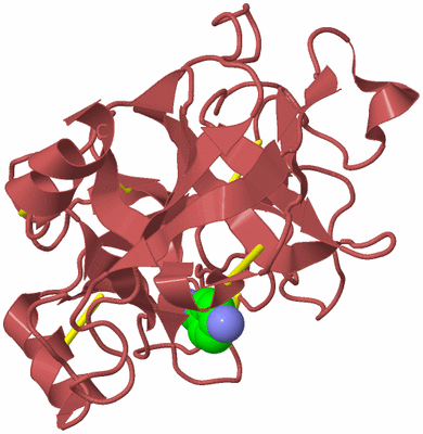 Image Biological Unit 11