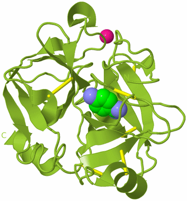 Image Biological Unit 13