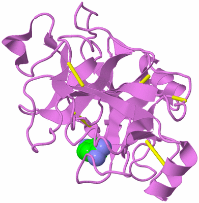 Image Biological Unit 14