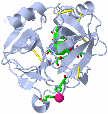 Image Biol. Unit 1 - sites