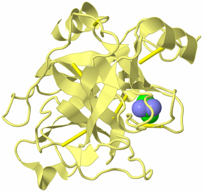 Image Biological Unit 4