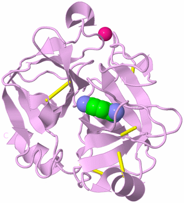 Image Biological Unit 5