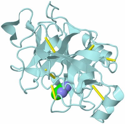 Image Biological Unit 6