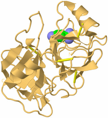 Image Biological Unit 7