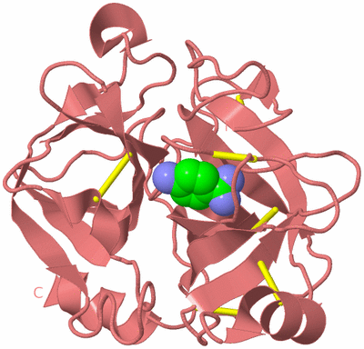 Image Biological Unit 8