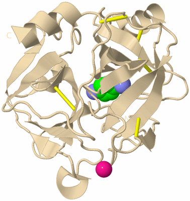 Image Biological Unit 9