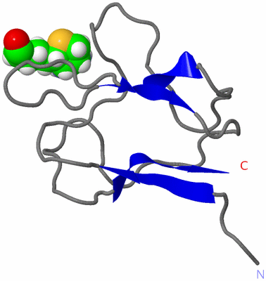 Image NMR Structure - model 1