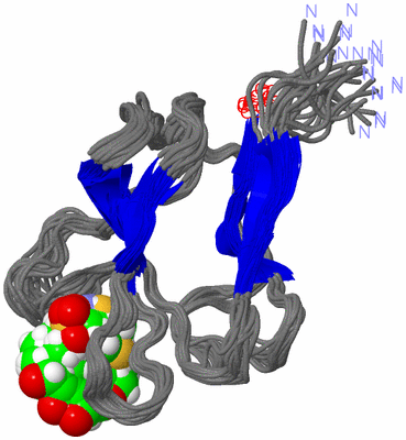 Image NMR Structure - all models