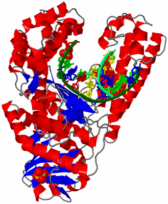 Image Asym./Biol. Unit