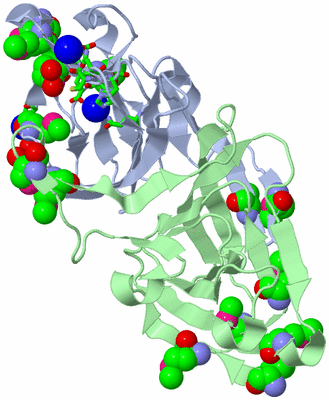 Image Asym./Biol. Unit - sites
