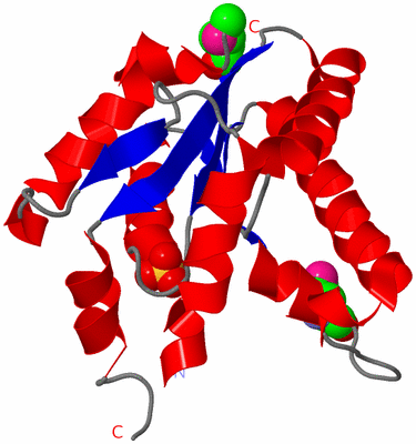 Image Asymmetric Unit