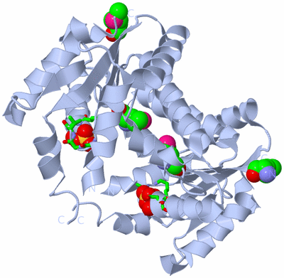 Image Biol. Unit 1 - sites