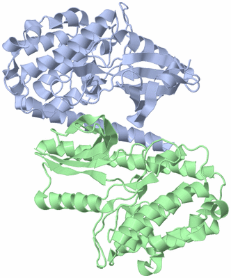 Image Asym./Biol. Unit