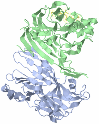 Image Asym./Biol. Unit