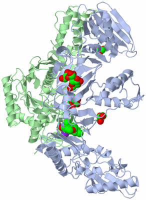 Image Asym./Biol. Unit