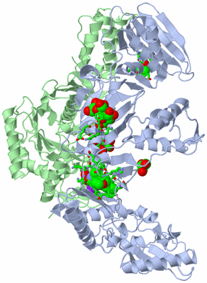 Image Asym./Biol. Unit - sites