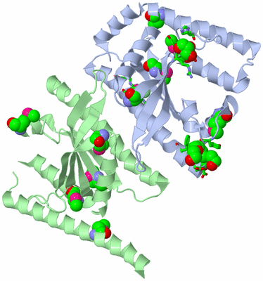 Image Asym./Biol. Unit - sites