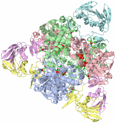 Image Biol. Unit 1 - sites