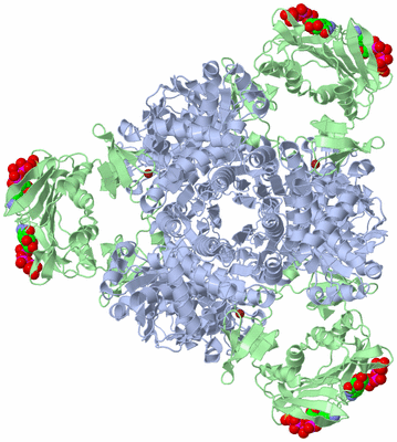 Image Biological Unit 1