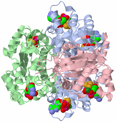 Image Biological Unit 1